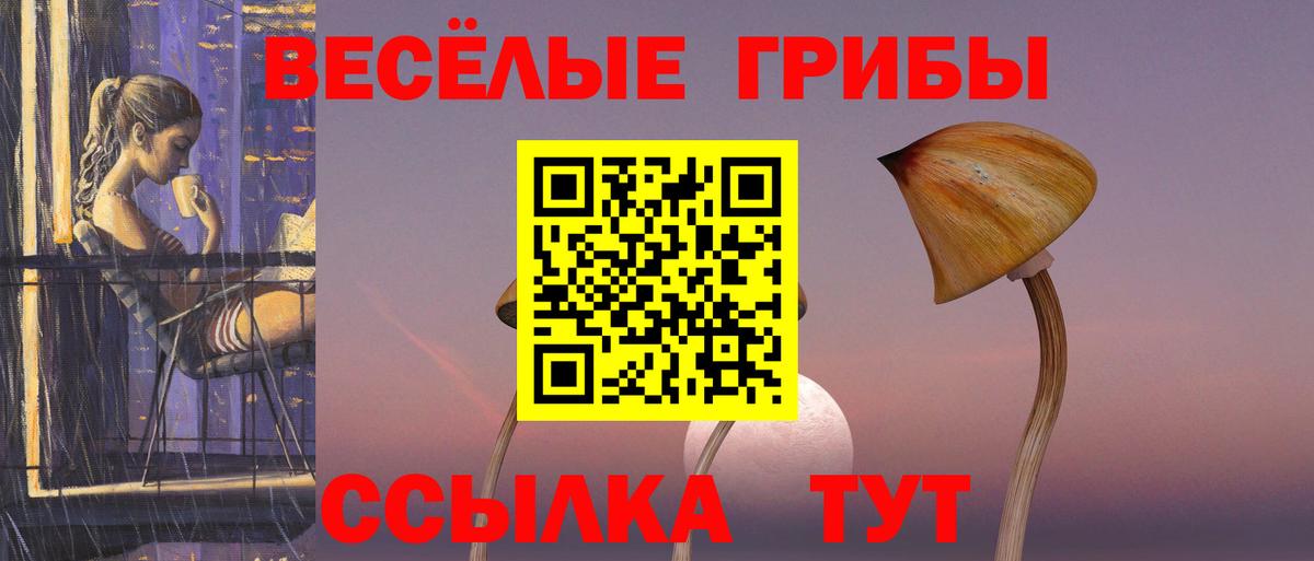 Псилоцибиновые грибы прущие грибы Шадринск